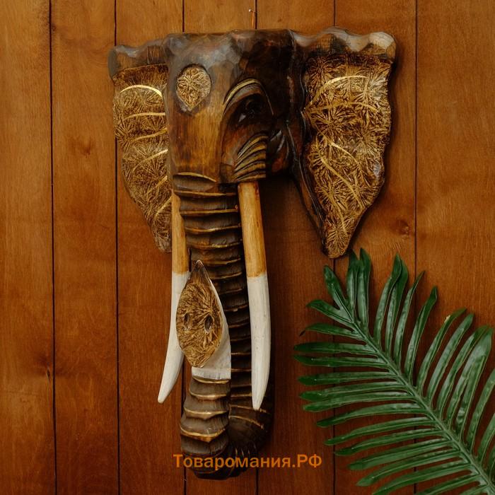 Сувенир дерево "Голова слона" 50 см