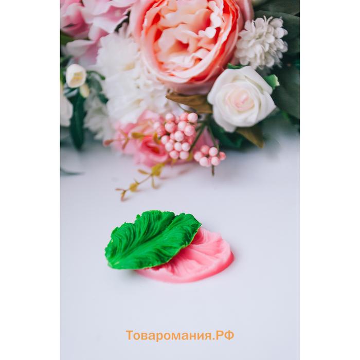 Молд «Лист тропических растений», силикон, 2 шт., 6.5×4×2.3 см, МИКС
