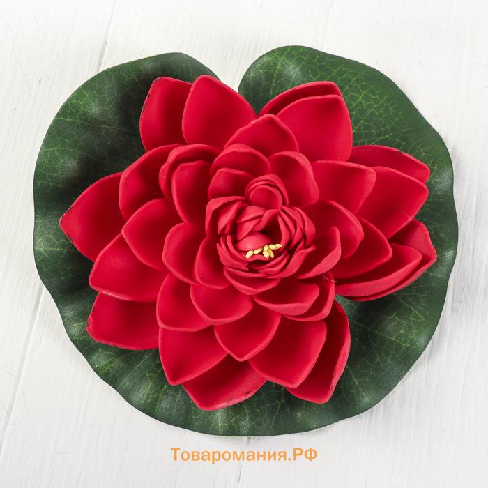 Декор «Кувшинка плавающая», d=17 см, МИКС