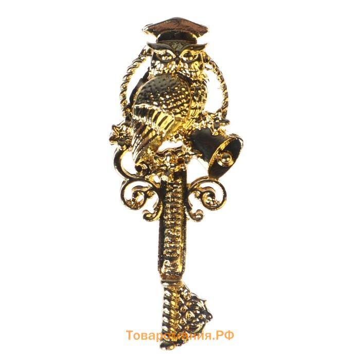 Ключ сувенирный на Выпускной «Выпускнику школы», металл, 2 х 4,8 см