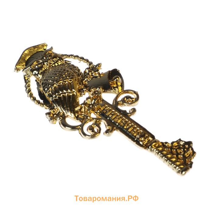 Ключ сувенирный на Выпускной «Выпускнику школы», металл, 2 х 4,8 см