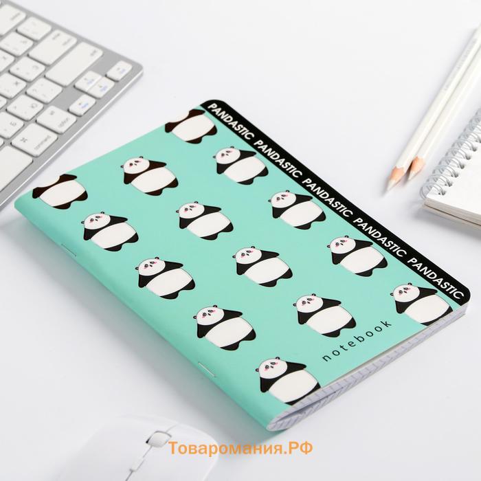 Блокнот А5, 48 л., в точку, обложка софт-тач, Panda