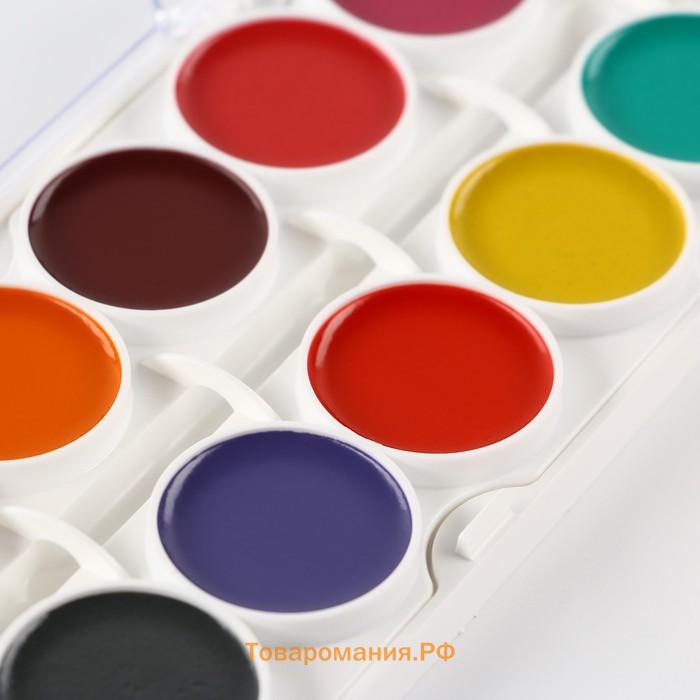 Акварельные краски медовые 24 цвета в пластиковой коробке, без кисти «1 сентября»