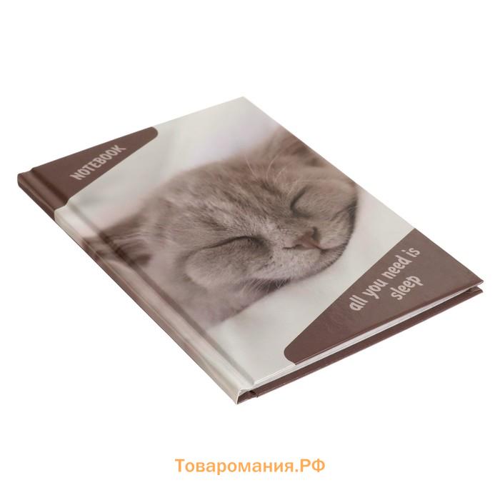 Блокнот А6, 40 листов в клетку "Спящий кот", твёрдая обложка, глянцевая ламинация, блок офсет