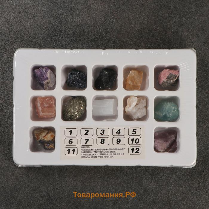 Коллекция сувенирных минералов «Гармония», набор 12 шт.
