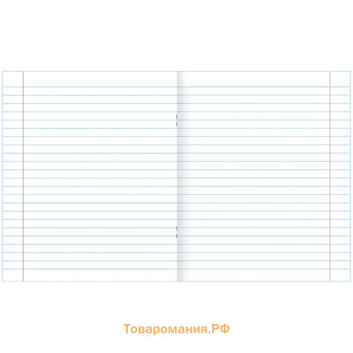 Тетрадь 12 листов в линейку «Зеленая обложка» обложка 60 г/м², белые листы