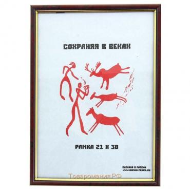 Фоторамка пластик 21х30 см  яшма (583)