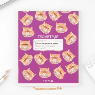 Тетрадь предметная 48 листов «Геометрия», А5, в клетку, со справочными материалами, обложка мелованный картон 230 г, белизна 96%